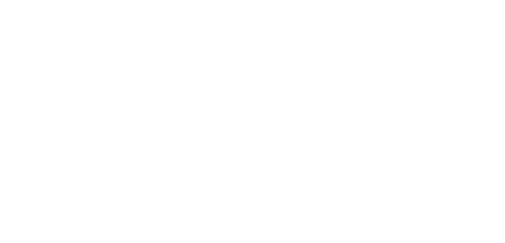 Vector 