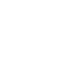 Vector